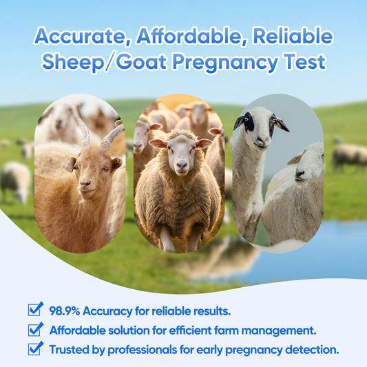 Sheep Goat Pregnancy Test Kit, 5-Pack Urine Test Strips for Early Detection, Results in 5-15 Mins, Accurate & Easy Home Farm Use