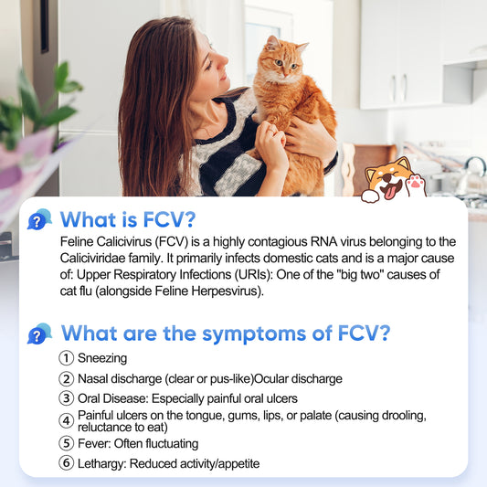 PawsXfun Feline Calicivirus Test Kit 5 Pieces: Quick 5-Min Home FCV Detection For Cats. Accurate, Non-Invasive, All Breeds/Ages