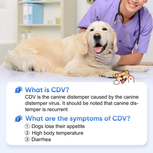 PawsXfun Canine Distemper Test Kit: 5-Piece Home Detection From Eyes/Nasal - Fast 5-10 Min Results For All Breeds & Ages