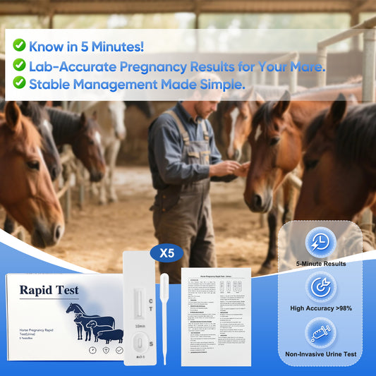 Horse Pregnancy Test Kit - 5-Pack Rapid Urine Test Strips for Mares, Accurate Results in 10 Mins, Easy to Use Farm Animal Breeding Detection Tool 18-90 Days After Breeding