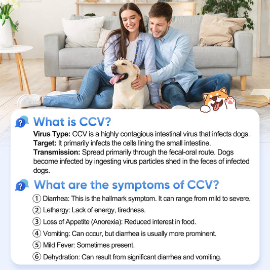 PawsXfun Canine Coronavirus Rapid Test Kit : 5-Piece Dog CCV Home Detection In Feces/Vomit 5 Minute - Accurate & Non-Invasive For All Breeds & Ages