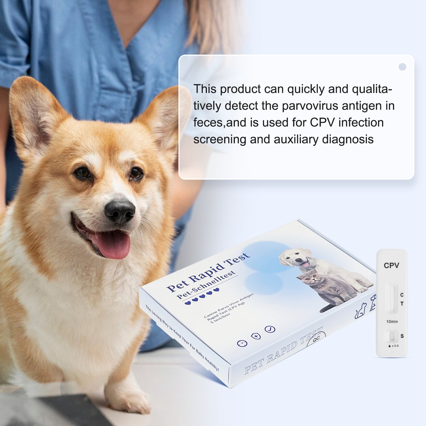 PawsXfun Canine Pravo Virus Test Kit: 5-Piece Dog CPV Home Detection In Feces/Vomit 5 Minute - Accurate & Non-Invasive For All Breeds & Ages