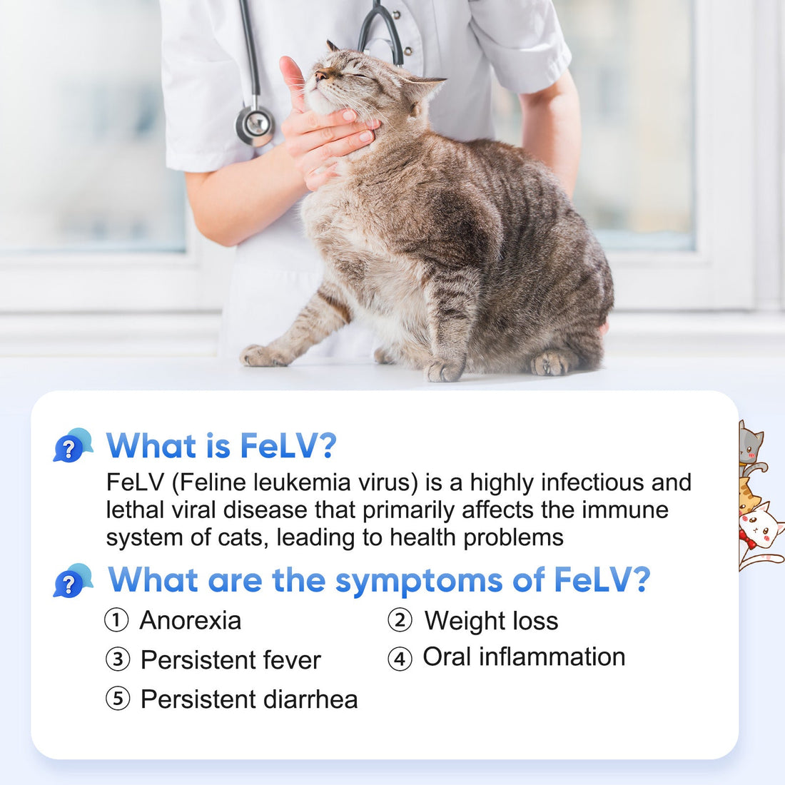 For Multi-Cat Homes & Rescues: Your Essential Tool for FeLV Management