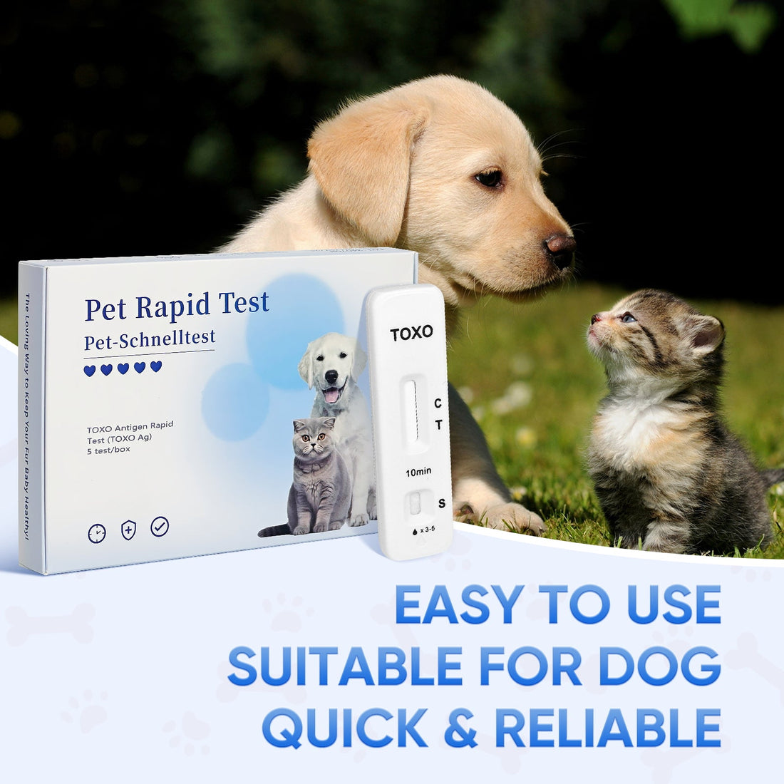 Proactive & Protected: Affordable Toxoplasmosis Screening for Your Family