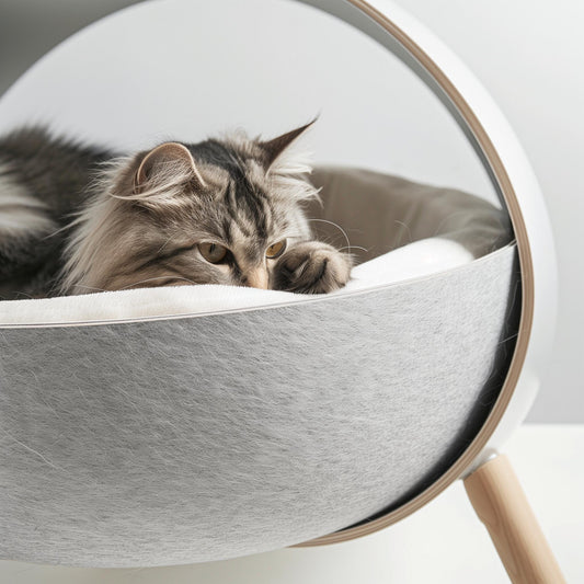 Skip the Vet Trip! Easy, At-Home FPV Screening for Your Cat