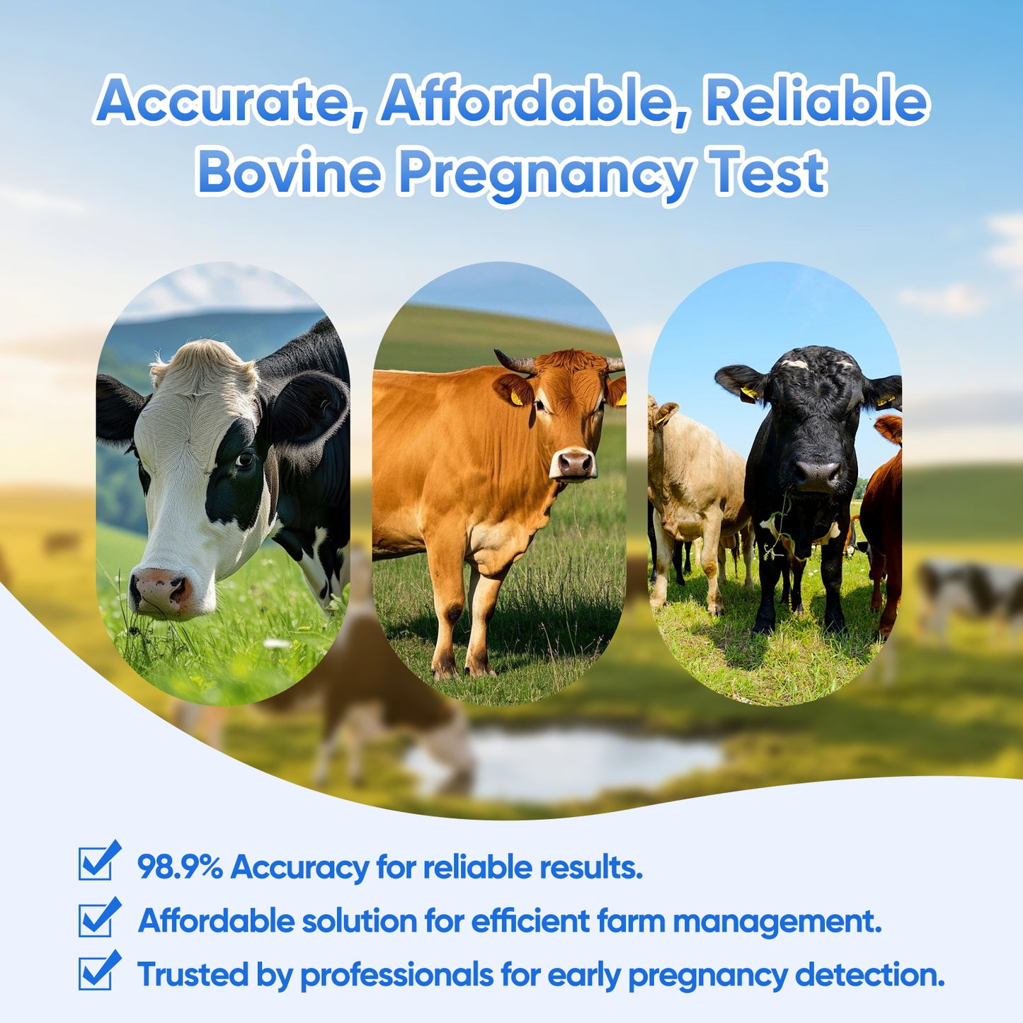 Bovine Pregnancy Test Kit，5-Pack Urine Tests, Rapid Results in 10 mins for Dairy & Beef Cows, Accurate Early Detection 18-90 Days Post-Breeding