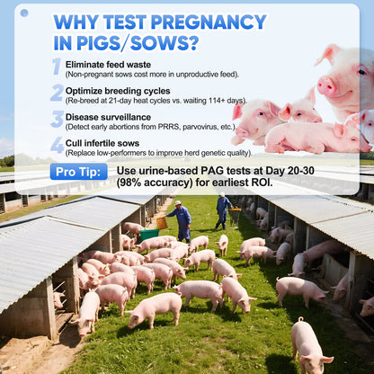 5-Pack Pig Pregnancy Test Strips for Early Detection in Sows, Accurate & Easy-to-Use Urine Test Kit, Farm Veterinary Supplies with Fast 10 Min Results
