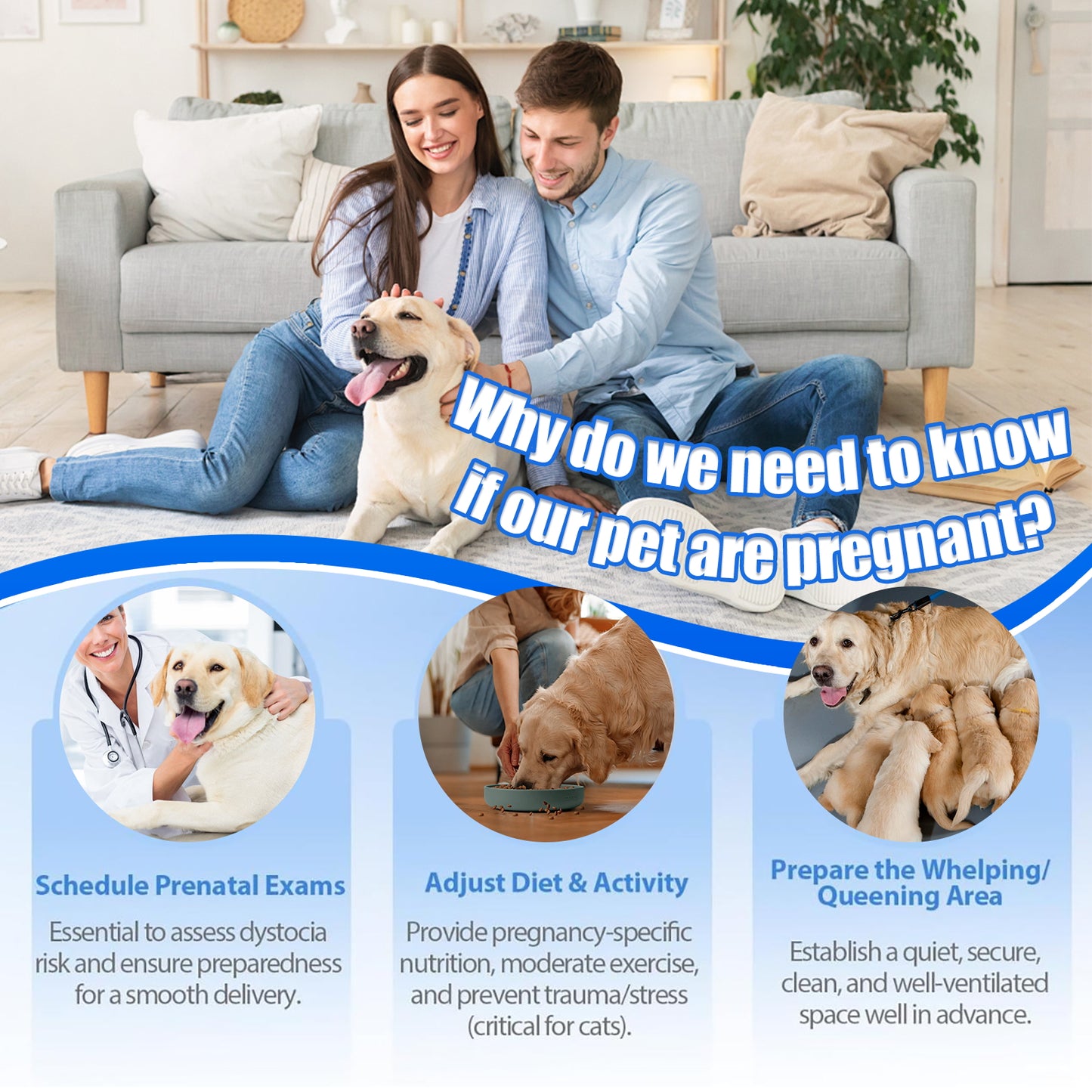 Dog & Cat Urine Pregnancy Test Kit at Home, 5-Minute Fast & Accurate Results up to 99%, Painless & No Blood Draw, Easy Test Strips for Pet Owners & Breeders