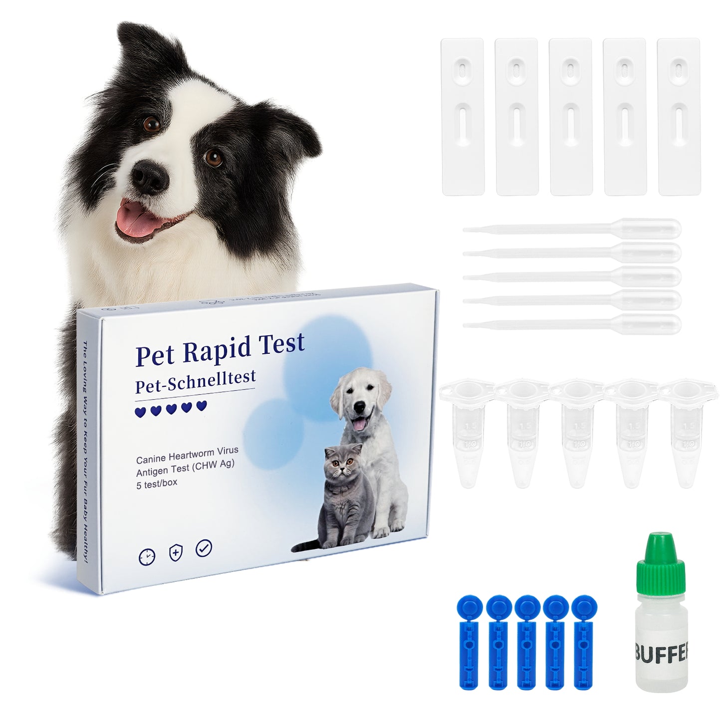 PawsXfun Canine Heartworm Test Kit 5 Pieces : Quick 5-Min Home CHW Detection For Dogs. Accurate, Non-Invasive, All Breeds/Ages