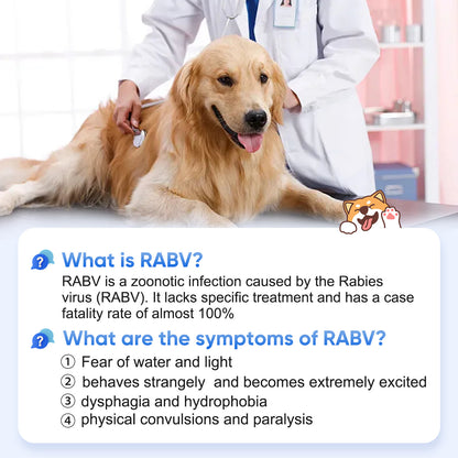 PawsXfun Pet Healthy RABV Test Kit for Dogs & Cats- Accurate & Quick 5 Minute Home Detection in Saliva Screening ! Easy to Use Non-Invasive Early Diagnosis Tool Suitable for All Breeds & Ages