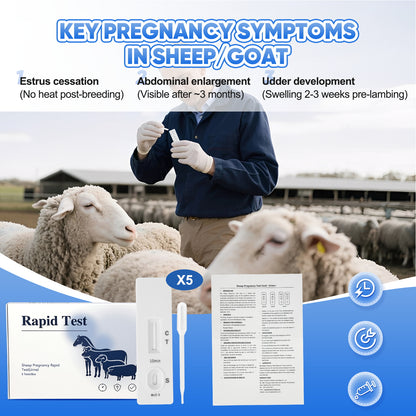 Sheep Goat Pregnancy Test Kit, 5-Pack Urine Test Strips for Early Detection, Results in 5-15 Mins, Accurate & Easy Home Farm Use