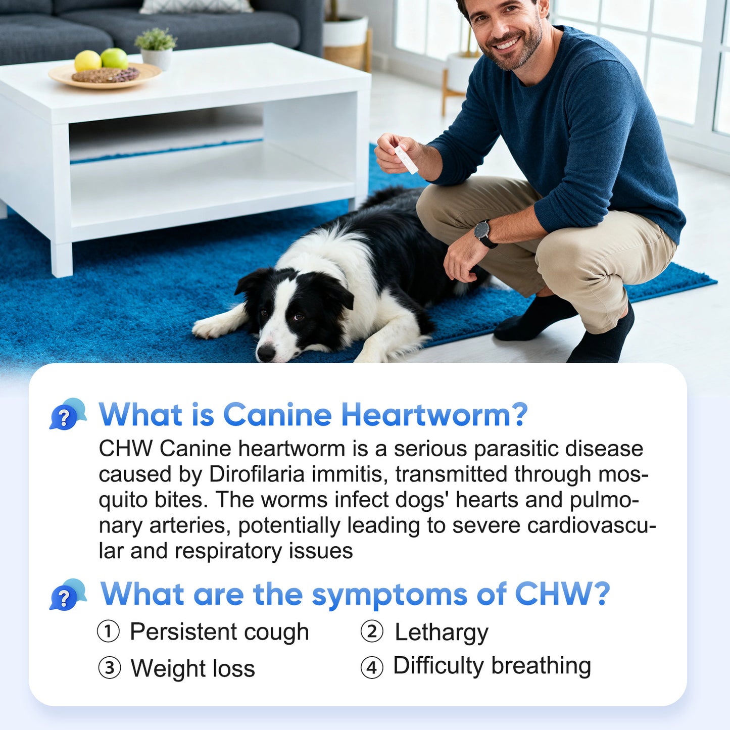PawsXfun Canine Heartworm Test Kit 5 Pieces : Quick 5-Min Home CHW Detection For Dogs. Accurate, Non-Invasive, All Breeds/Ages