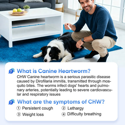 PawsXfun Canine Heartworm Test Kit 5 Pieces : Quick 5-Min Home CHW Detection For Dogs. Accurate, Non-Invasive, All Breeds/Ages