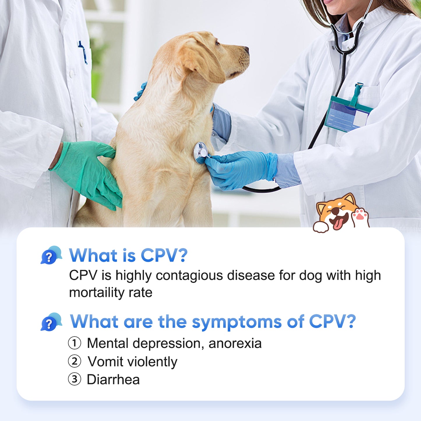 PawsXfun Dog Healthy CPV Test Kit - Accurate & Quick 5-Pieces Home Detection in Feces/Vomit in 5-10 Minutes! Easy to Use Non-Invasive Early Diagnosis Tool Suitable for All Breeds & Ages