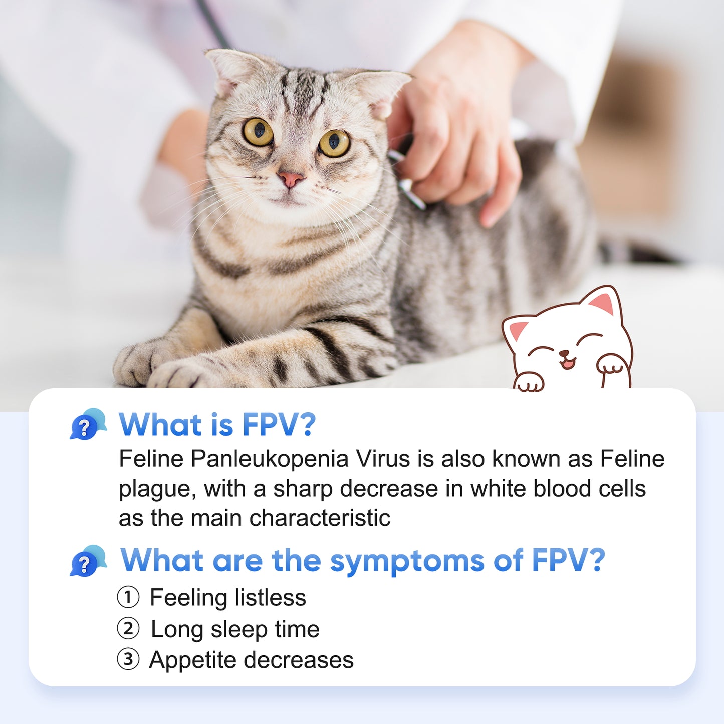 PawsXfun Cat Healthy FPV Test Kit - Accurate & Quick 5-Pieces Home Detection in Feces in 5-10 Minutes! Easy to Use Non-Invasive Early Diagnosis Tool Suitable for All Breeds & Ages