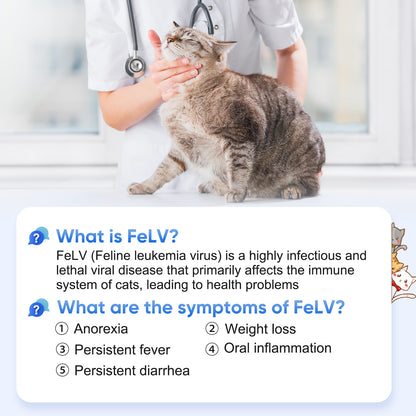 PawsXfun Cat Healthy FELV Test Kit - Accurate & Quick 5-Pieces Home Detection in Serum or plasma in 5-10 Minutes! Easy to Use Non-Invasive Early Diagnosis Tool Suitable for All Breeds & Ages