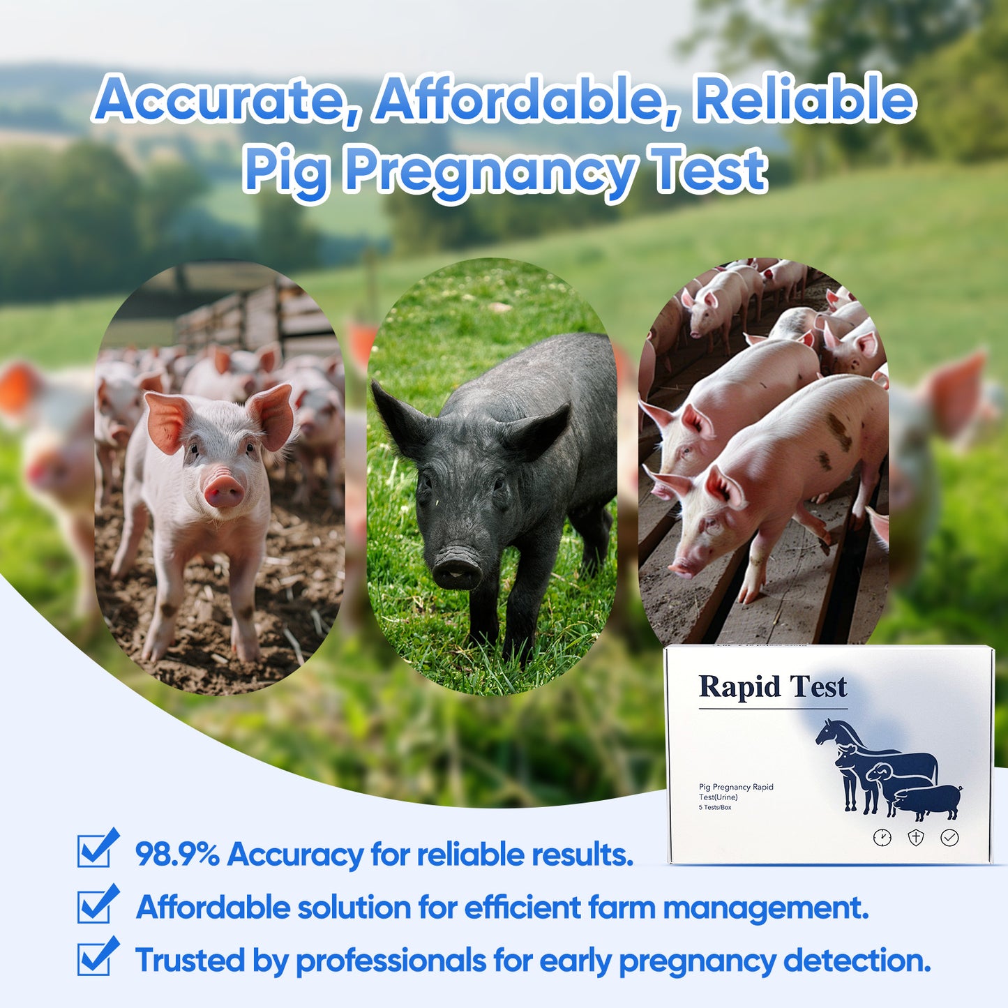 5-Pack Pig Pregnancy Test Strips for Early Detection in Sows, Accurate & Easy-to-Use Urine Test Kit, Farm Veterinary Supplies with Fast 10 Min Results