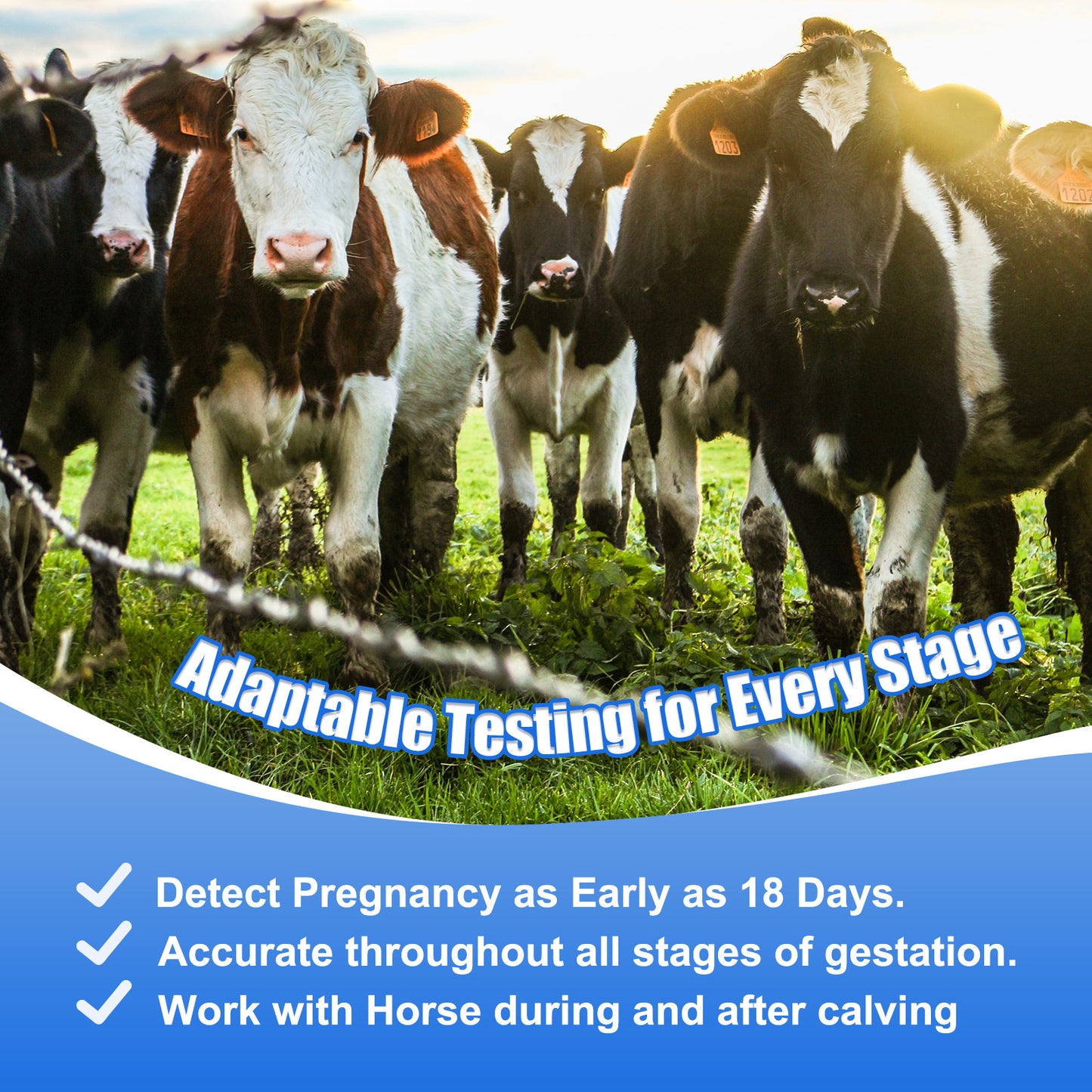 Bovine Pregnancy Test Kit，5-Pack Urine Tests, Rapid Results in 10 mins for Dairy & Beef Cows, Accurate Early Detection 18-90 Days Post-Breeding