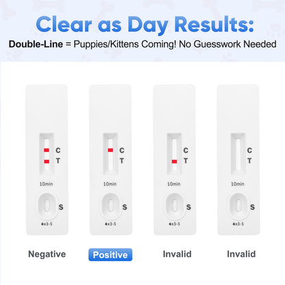 Dog & Cat Urine Pregnancy Test Kit at Home, 5-Minute Fast & Accurate Results up to 99%, Painless & No Blood Draw, Easy Test Strips for Pet Owners & Breeders
