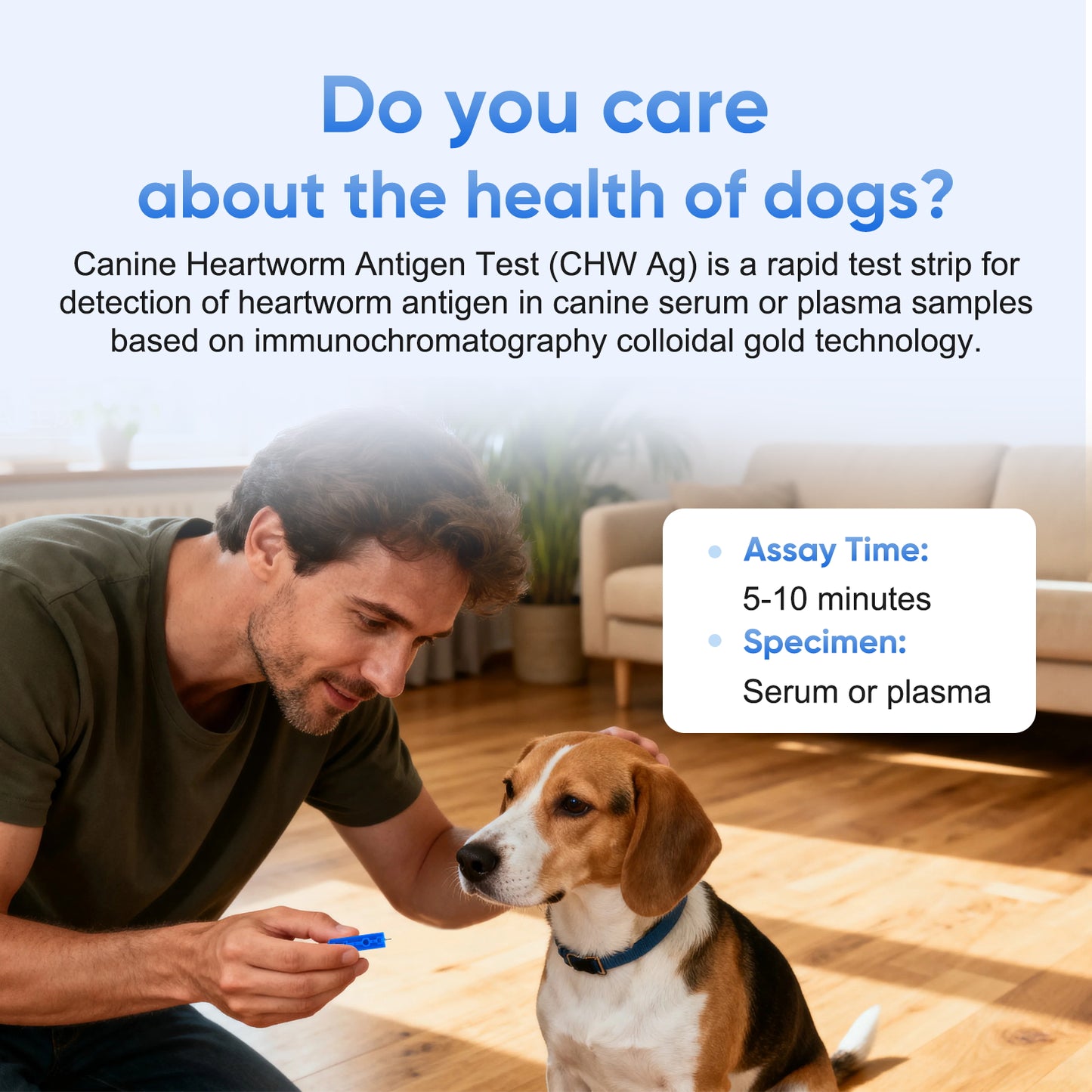 PawsXfun Canine Heartworm Test Kit 5 Pieces : Quick 5-Min Home CHW Detection For Dogs. Accurate, Non-Invasive, All Breeds/Ages