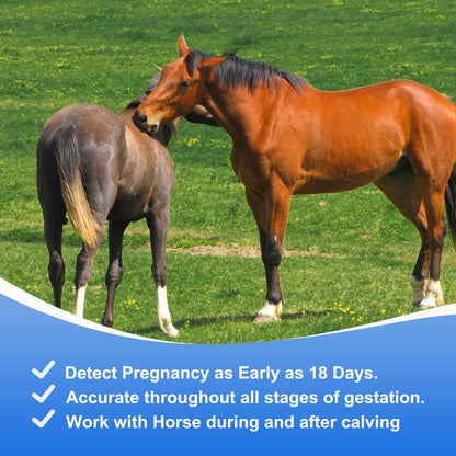 Horse Pregnancy Test Kit - 5-Pack Rapid Urine Test Strips for Mares, Accurate Results in 10 Mins, Easy to Use Farm Animal Breeding Detection Tool 18-90 Days After Breeding
