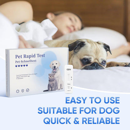 PawsXfun Dog Healthy CDV Test Kit - Accurate & Quick 5-Pieces Home Detection in Eyes, Nasal in 5-10 Minutes! Easy to Use Non-Invasive Early Diagnosis Tool Suitable for All Breeds & Ages