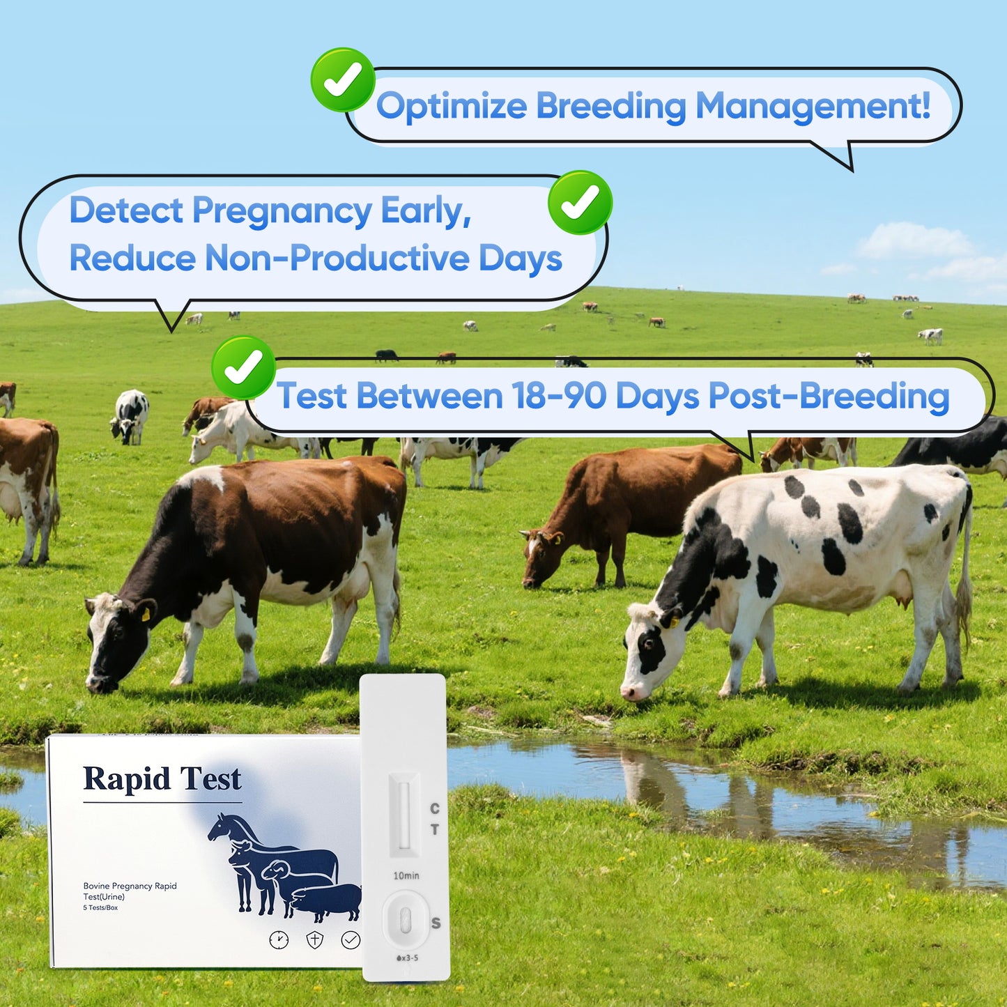 Bovine Pregnancy Test Kit，5-Pack Urine Tests, Rapid Results in 10 mins for Dairy & Beef Cows, Accurate Early Detection 18-90 Days Post-Breeding