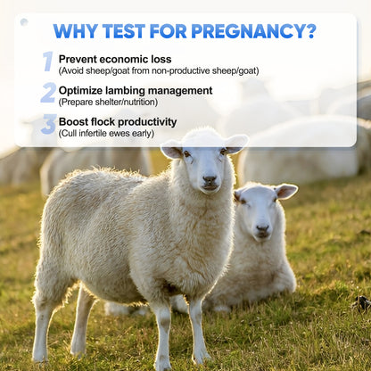 Sheep Goat Pregnancy Test Kit, 5-Pack Urine Test Strips for Early Detection, Results in 5-15 Mins, Accurate & Easy Home Farm Use