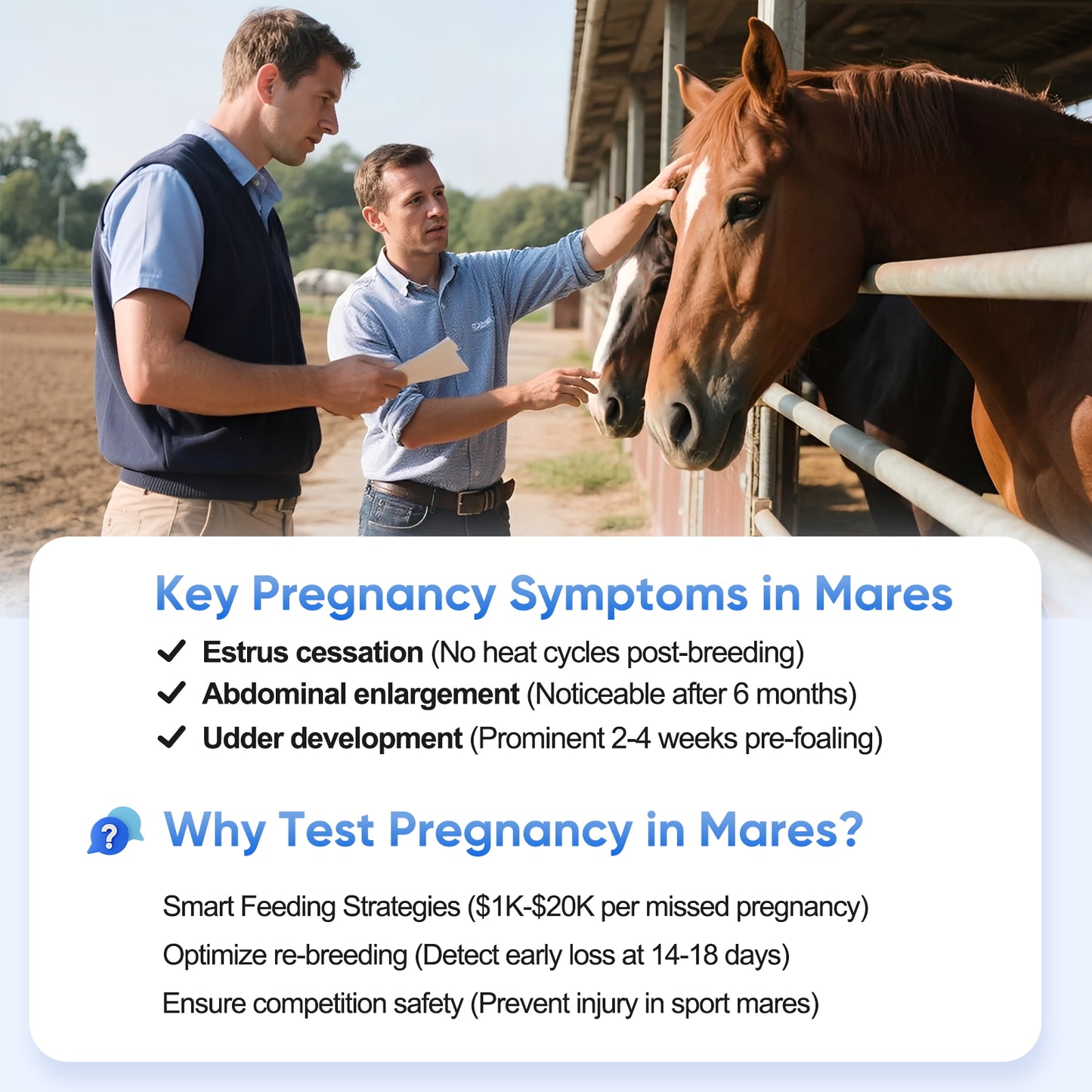 Horse Pregnancy Test Kit - 5-Pack Rapid Urine Test Strips for Mares, Accurate Results in 10 Mins, Easy to Use Farm Animal Breeding Detection Tool 18-90 Days After Breeding