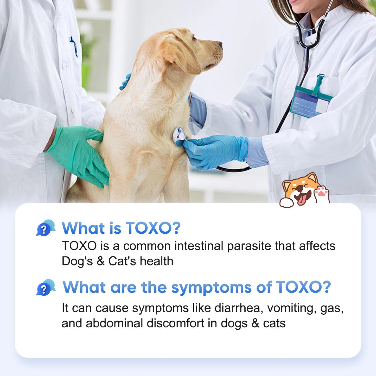 PawsXfun TOXO Test Kit for Dogs & Cats, Accurate & Quick 5-Pieces Home Detection of TOXO in Feces in 5-10 Minutes! Easy to Use Non-Invasive Diagnosis Tool Suitable for All Breeds & Ages